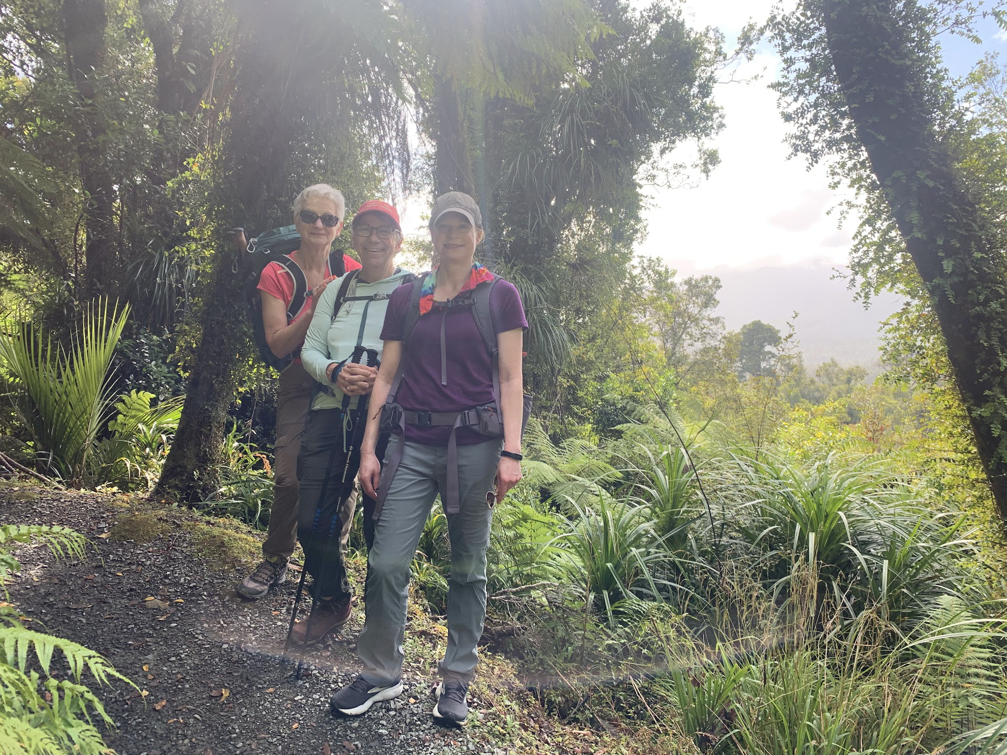 Picture of New Zealand's Wild Wonders: Southern Alps & National Parks