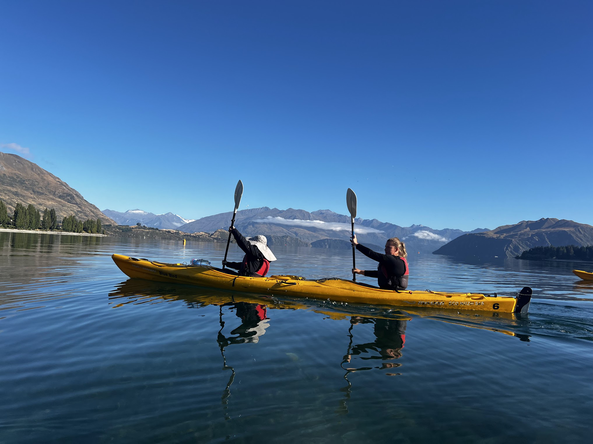 Picture of New Zealand's Wild Wonders: Southern Alps & National Parks