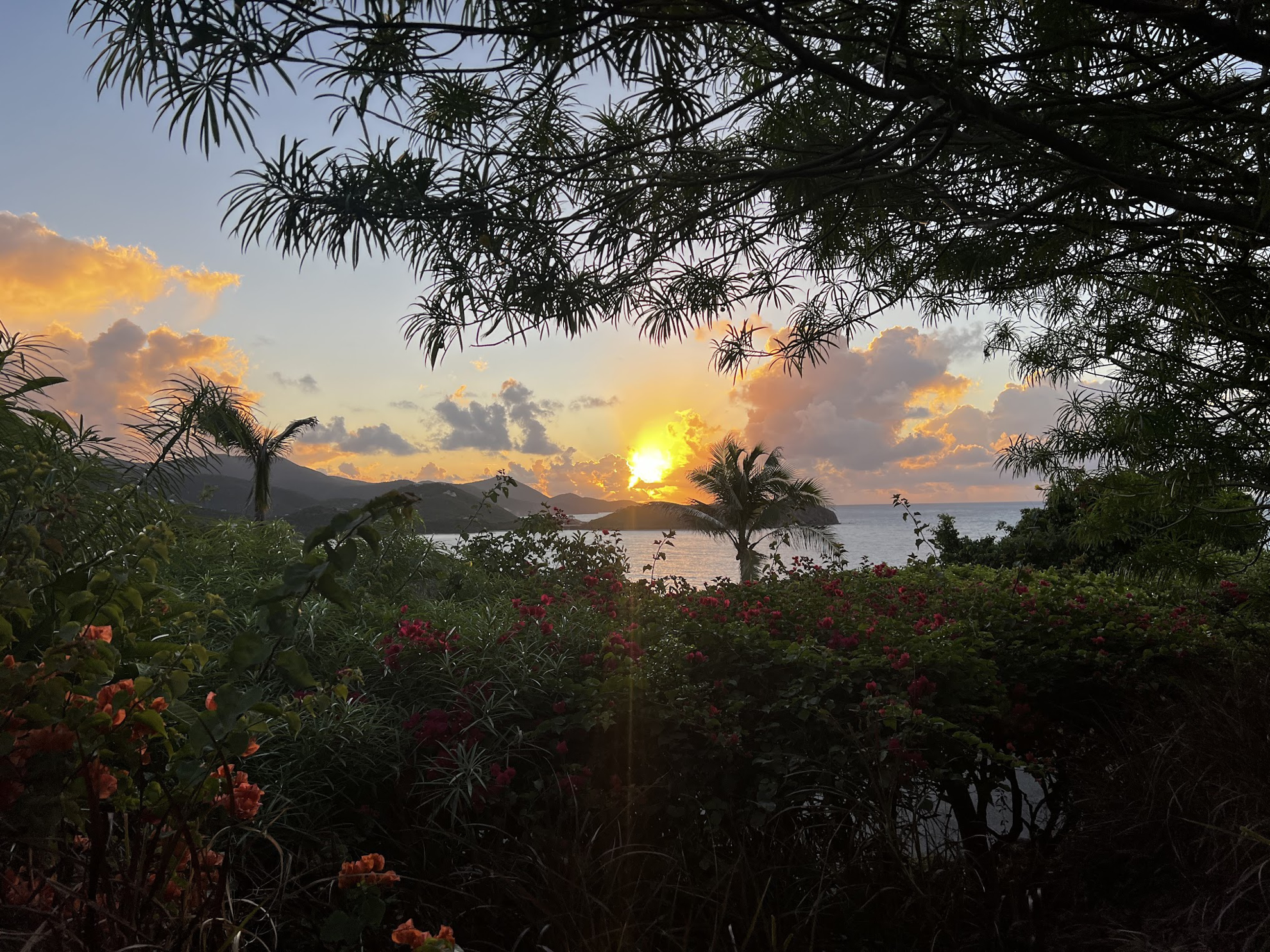 Picture of Adventures in the Caribbean: St. John