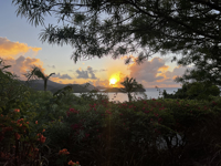Picture of Adventures in the Caribbean: St. John