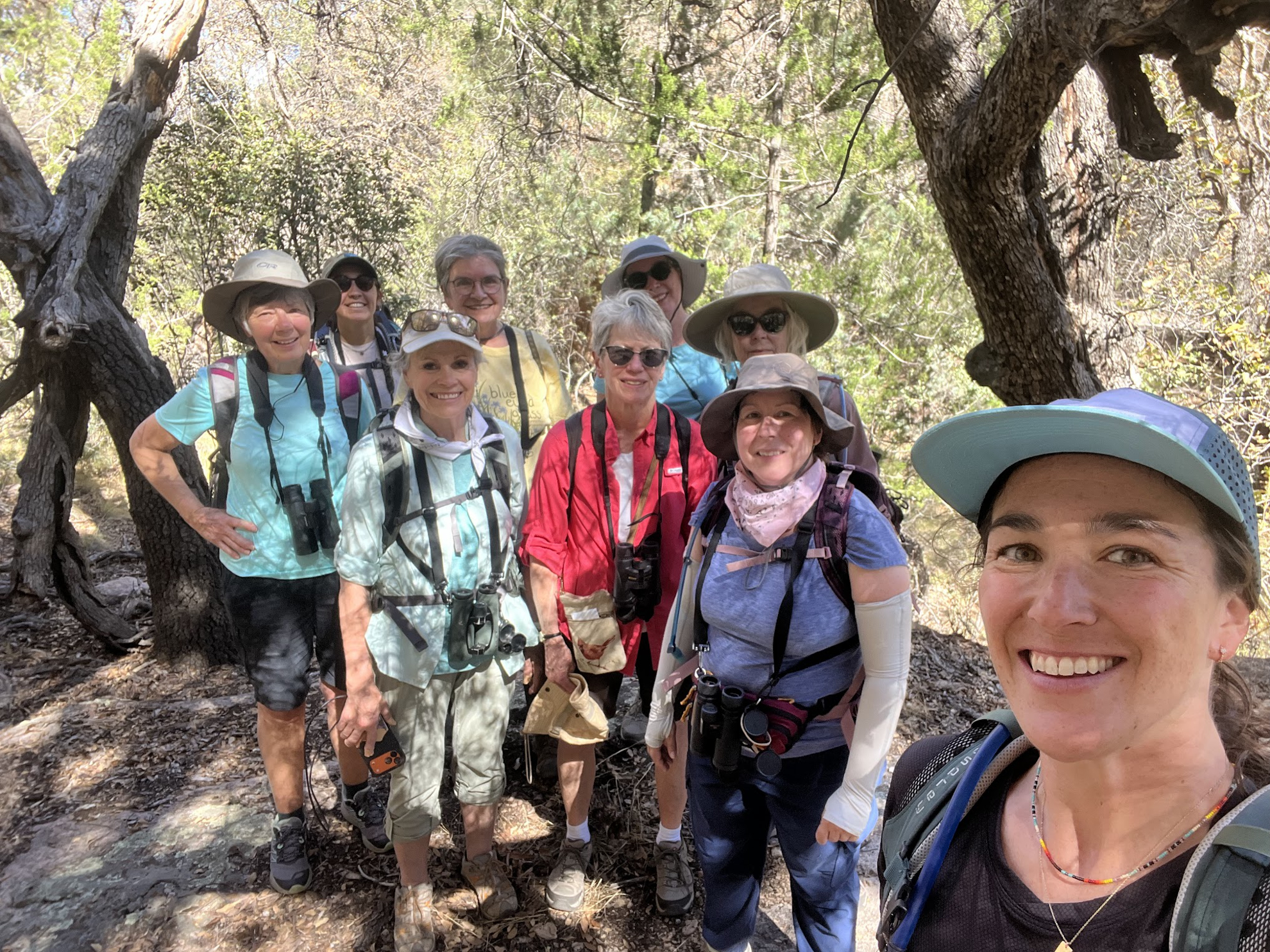 Picture of Desert Melodies: Intro to Birding and Hiking in Arizona
