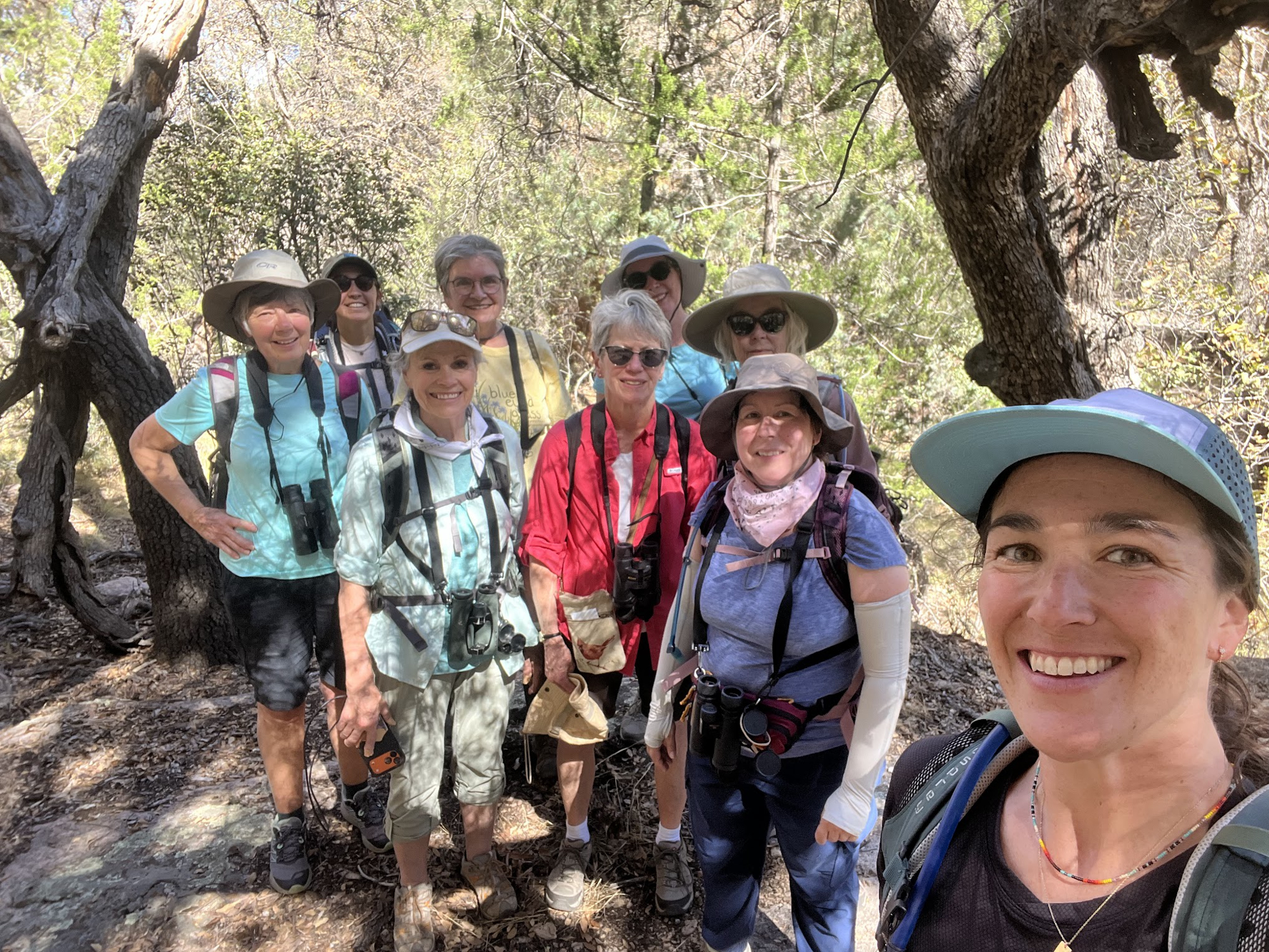 Picture of Desert Melodies: Intro to Birding and Hiking in Arizona