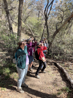 Picture of Desert Melodies: Intro to Birding and Hiking in Arizona