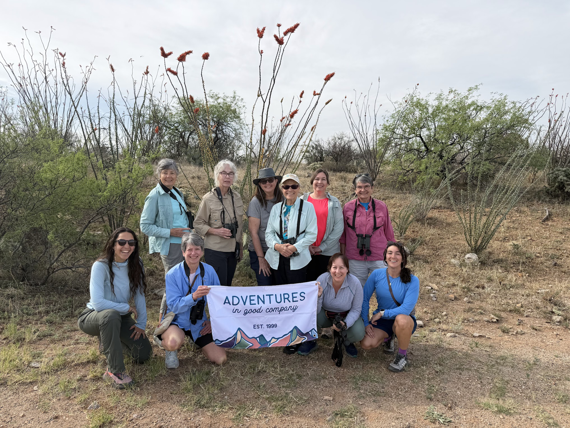Picture of Desert Melodies: Intro to Birding and Hiking in Arizona