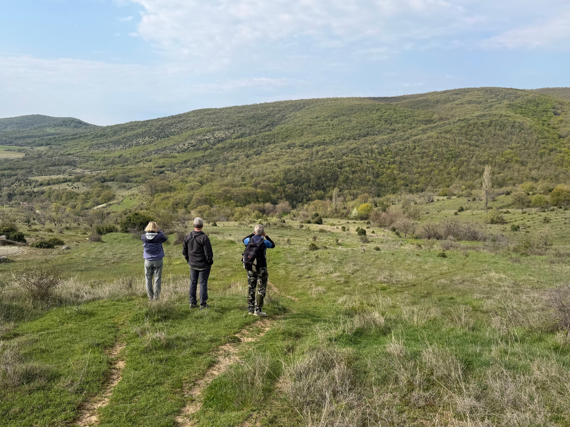 Picture of Bulgaria's Wildlife, Mountains, and Monasteries