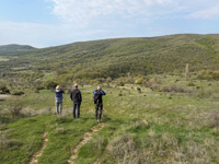Picture of Bulgaria's Wildlife, Mountains, and Monasteries