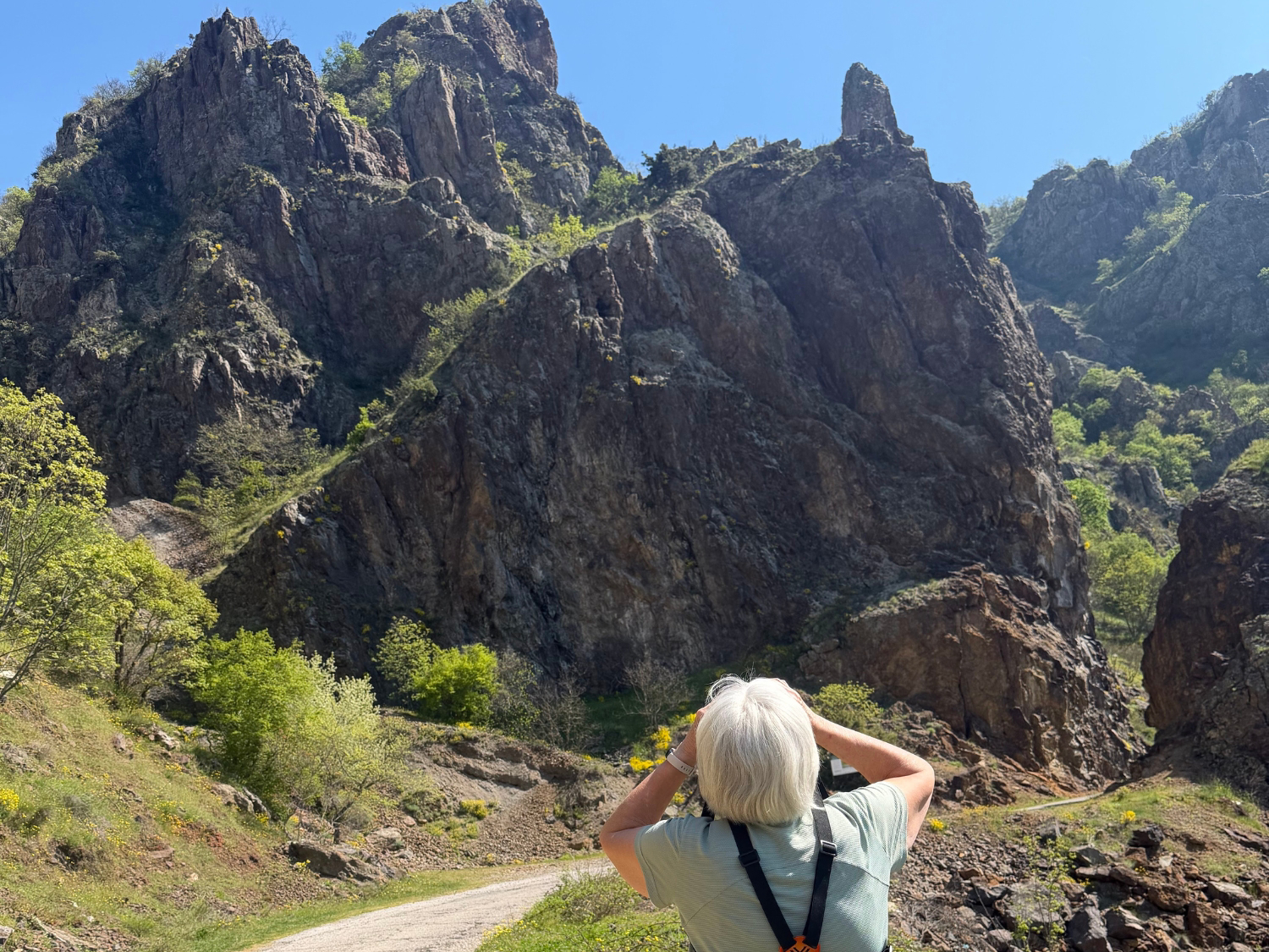 Picture of Bulgaria's Wildlife, Mountains, and Monasteries