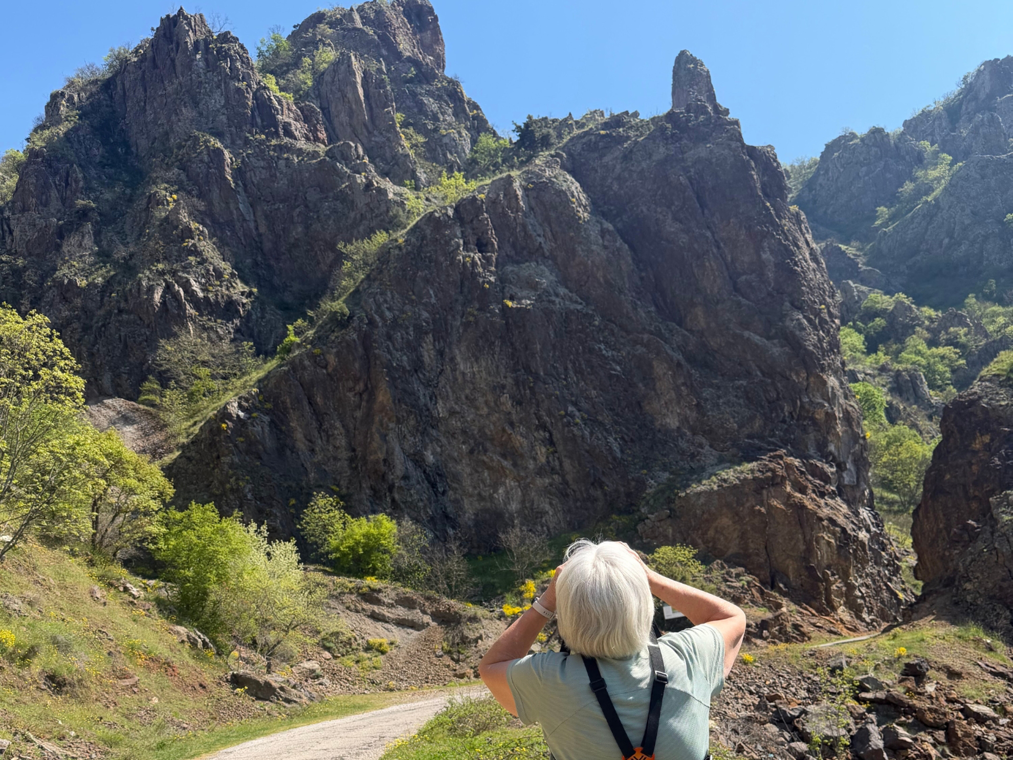 Picture of Bulgaria's Wildlife, Mountains, and Monasteries