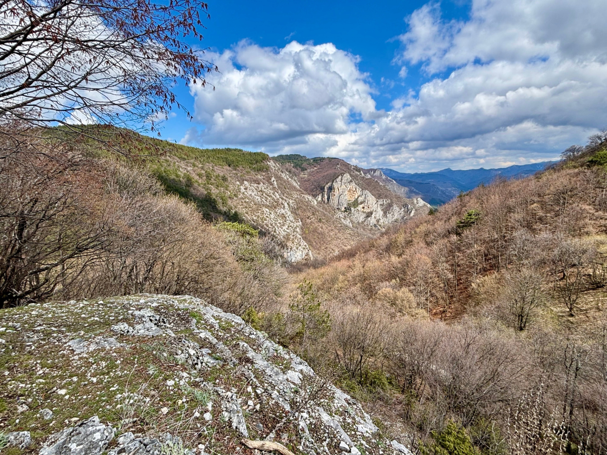 Picture of Bulgaria's Wildlife, Mountains, and Monasteries