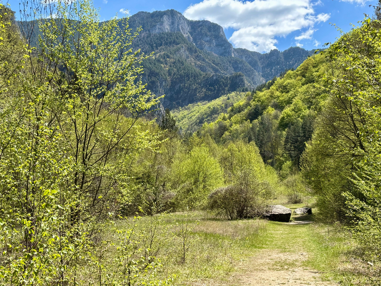 Picture of Bulgaria's Wildlife, Mountains, and Monasteries