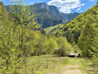 Picture of Bulgaria's Wildlife, Mountains, and Monasteries