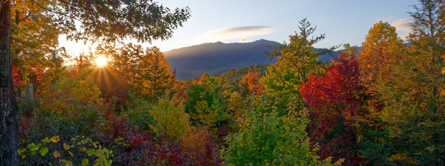 When Does Fall Foliage Peak? A Region-by-Region Guide