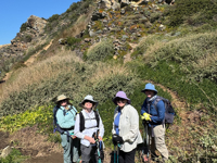 Picture of Portugal Coastal Hiking