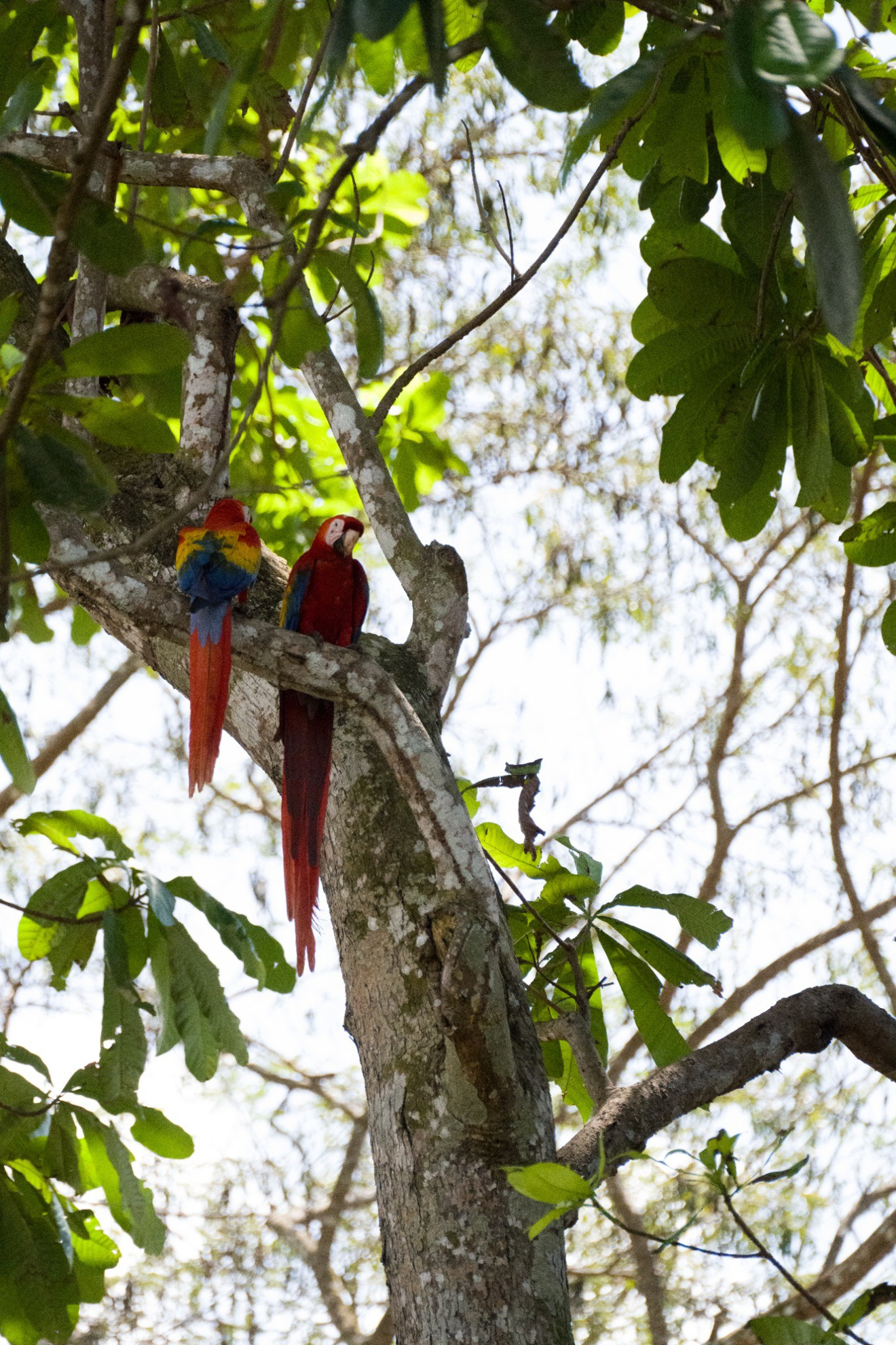 Picture of Costa Rica: Exploring the Pacific Coast