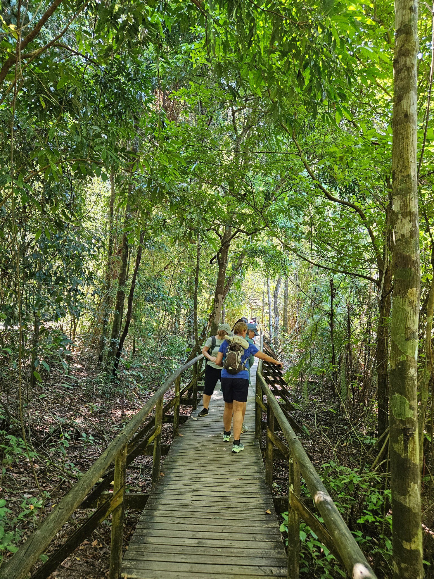 Picture of Costa Rica: Exploring the Pacific Coast