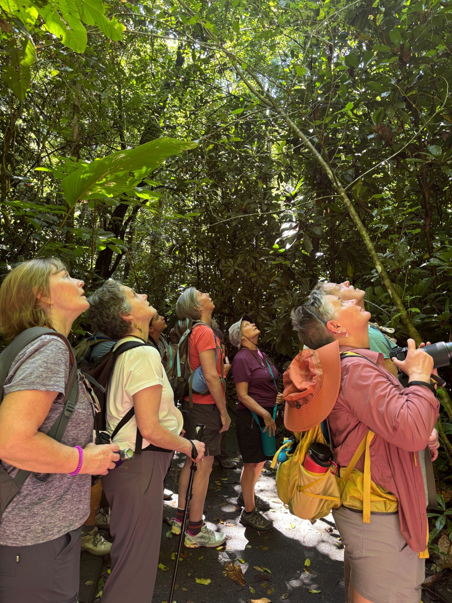 Picture of Costa Rica: Exploring the Pacific Coast