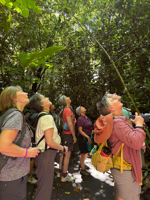 Picture of Costa Rica: Exploring the Pacific Coast