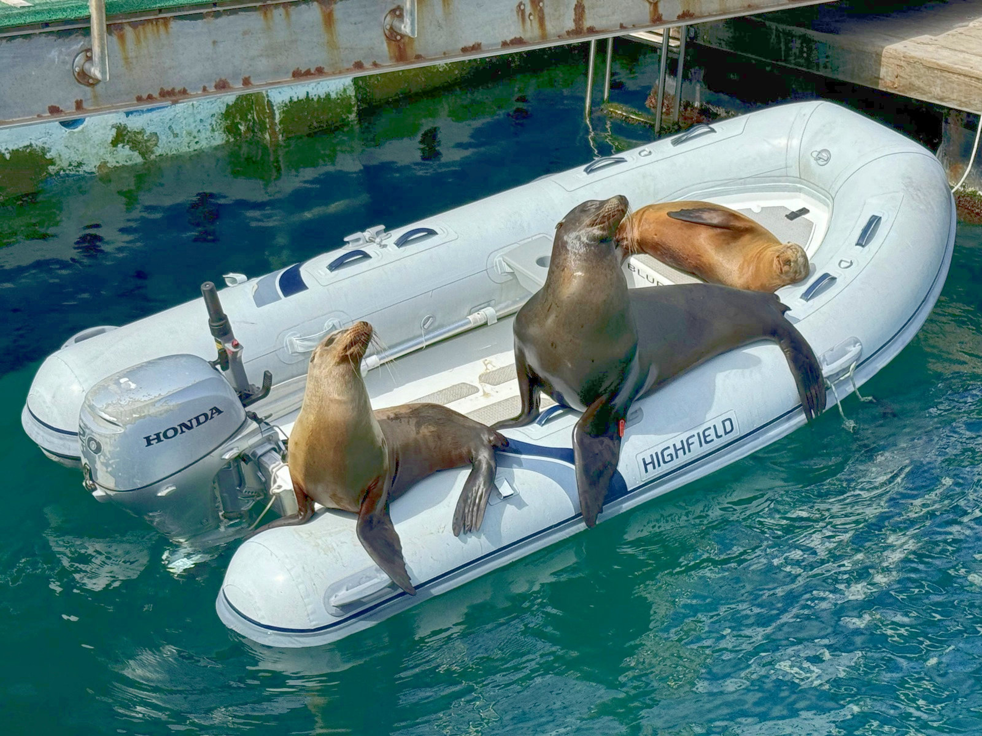 Picture of Explore the Galapagos Islands by Land
