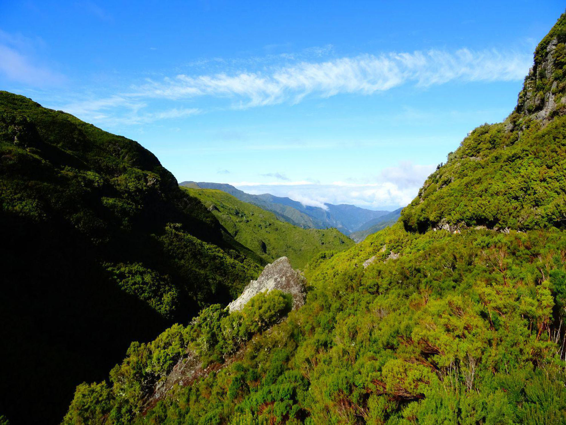 Picture of Portugal: Walking, Hiking & Wellness on Madeira Island