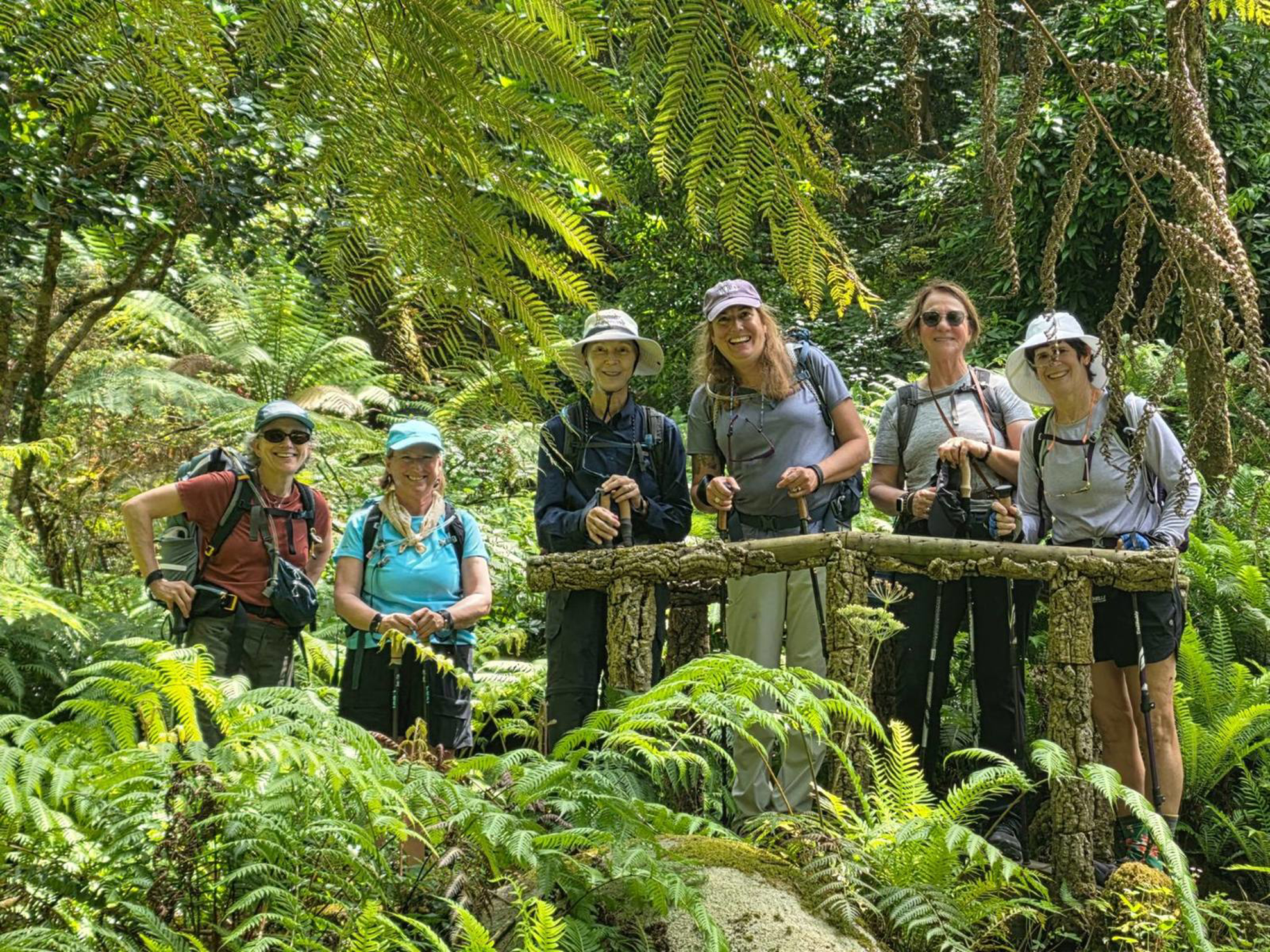 Picture of Portugal: Walking, Hiking & Wellness on Madeira Island