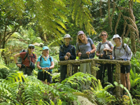 Picture of Portugal: Walking, Hiking & Wellness on Madeira Island