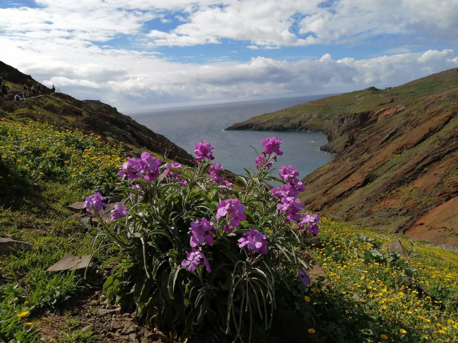 Picture of Portugal: Walking, Hiking & Wellness on Madeira Island