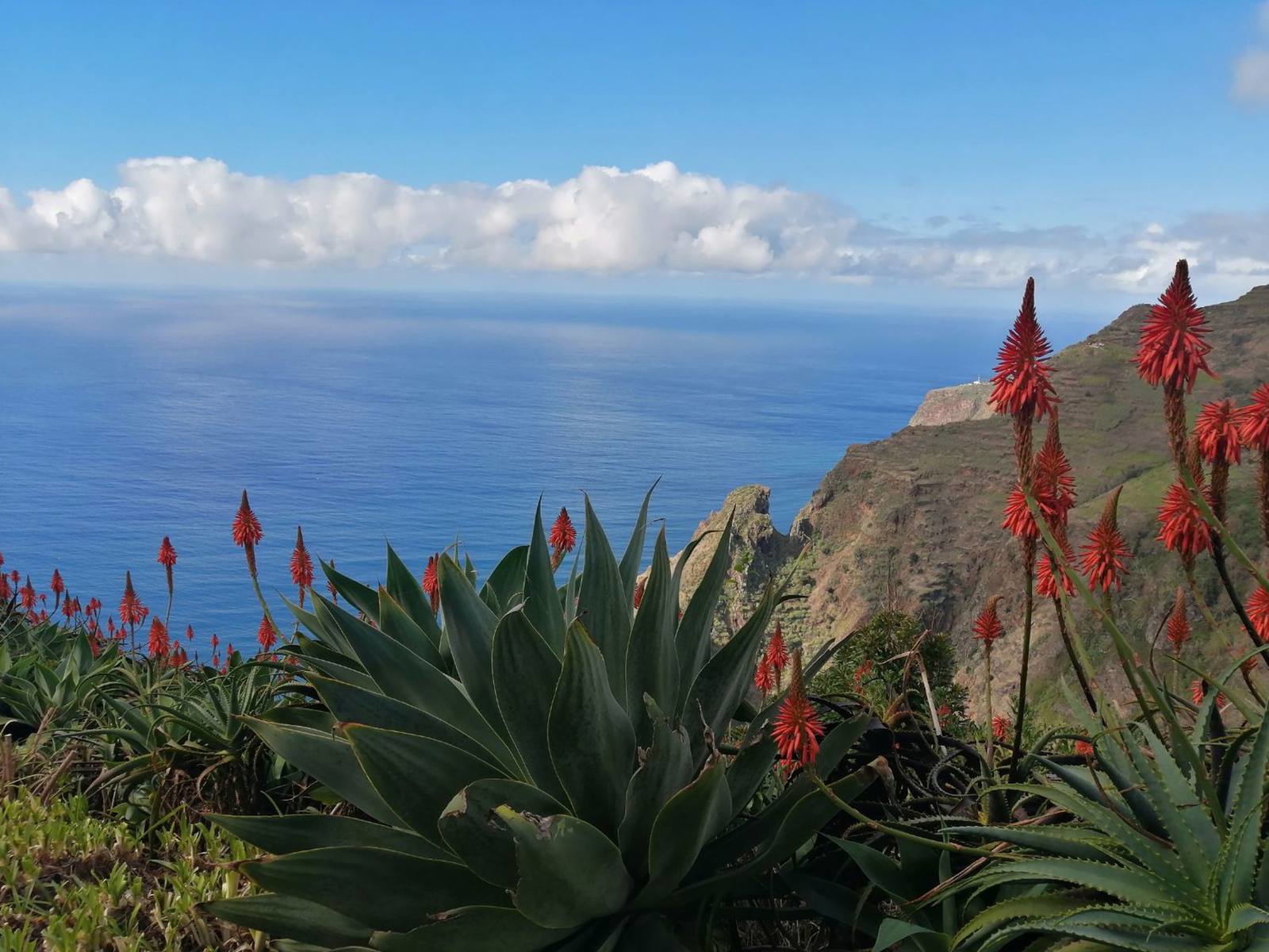 Picture of Portugal: Walking, Hiking & Wellness on Madeira Island