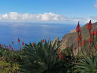 Picture of Portugal: Walking, Hiking & Wellness on Madeira Island