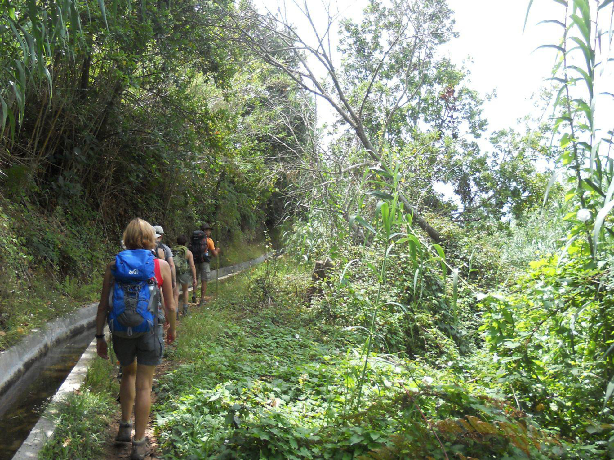Picture of Portugal: Walking, Hiking & Wellness on Madeira Island