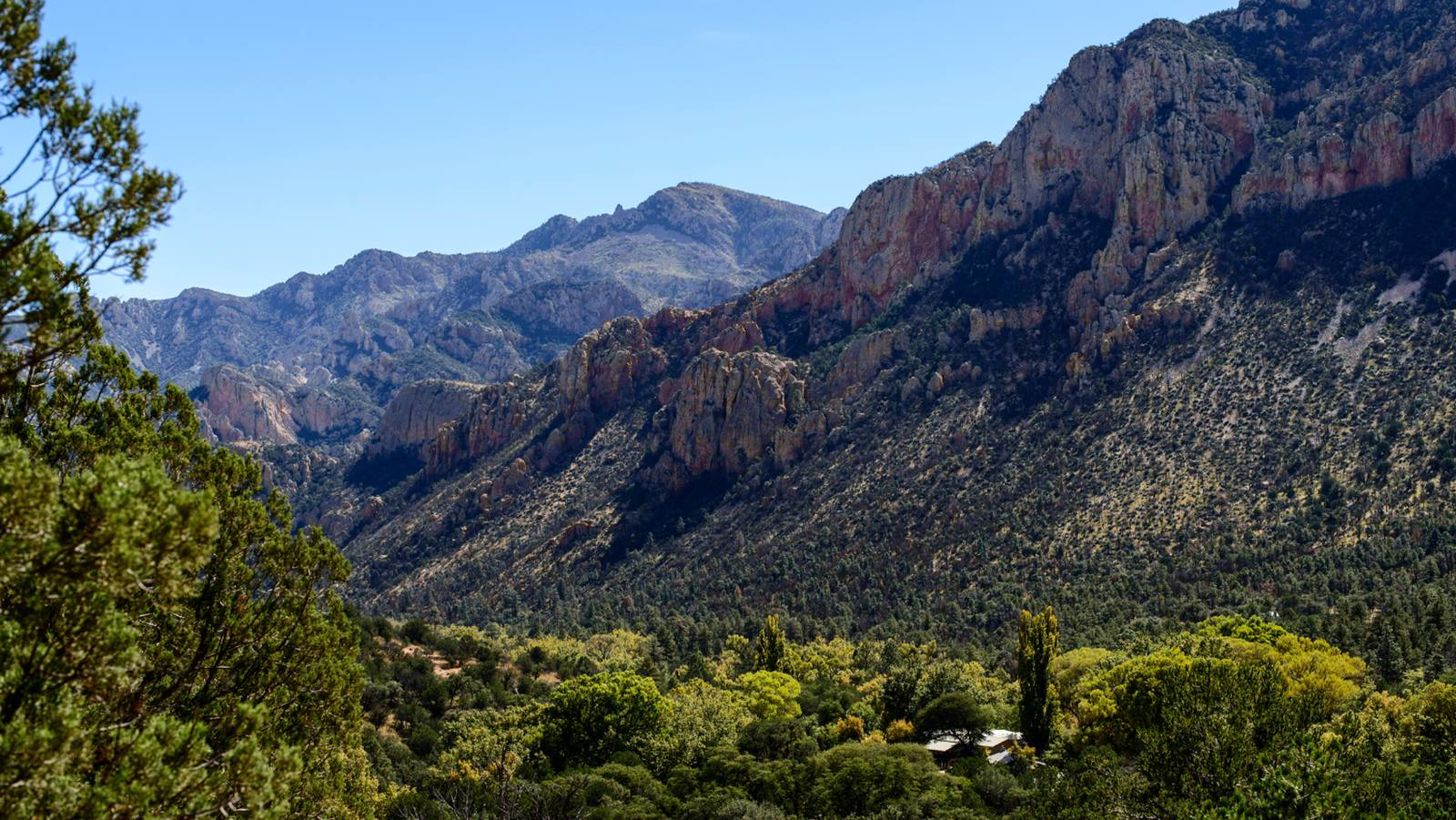 Picture of Desert Melodies: Intro to Birding and Hiking in Arizona