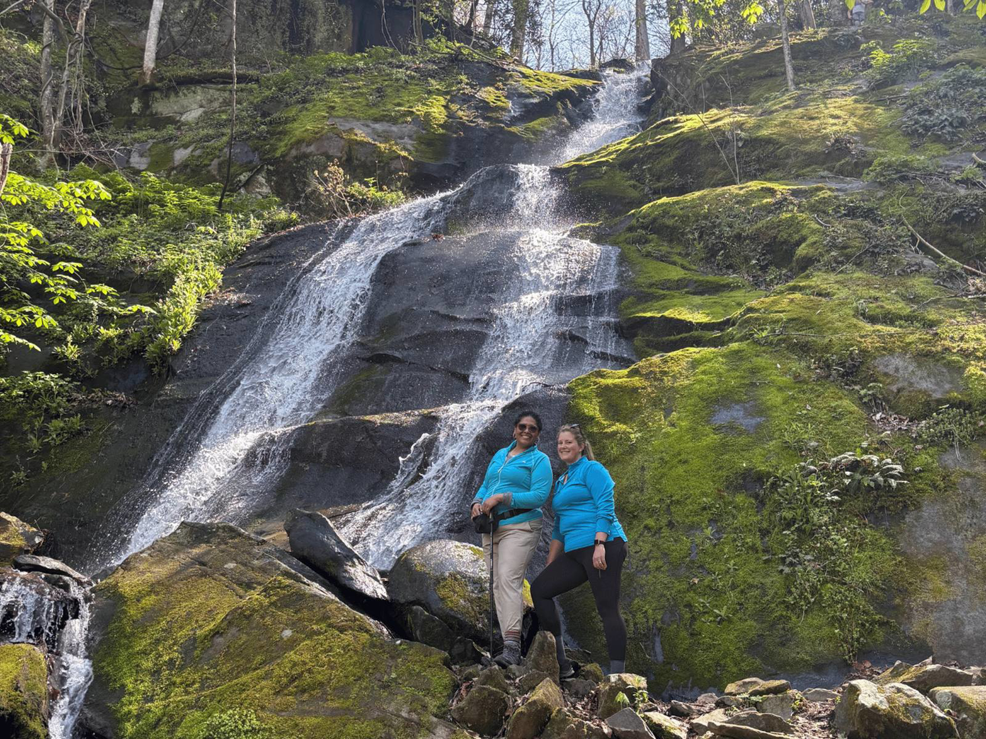 Picture of Wildflowers & Waterfalls: Exploring the Great Smokies