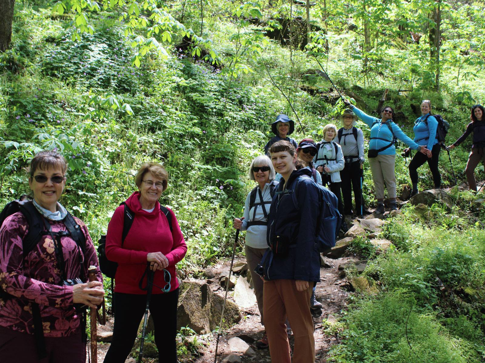 Picture of Wildflowers & Waterfalls: Exploring the Great Smokies