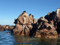 Picture of Baja Unplugged: An Island Escape on the Sea of Cortez