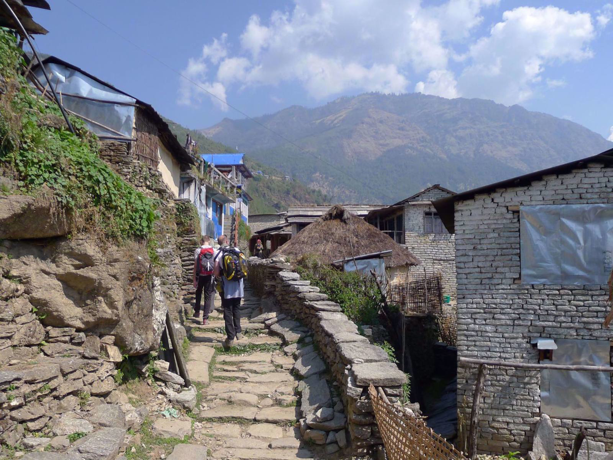 Picture of Trekking, Culture and Wildlife in Nepal