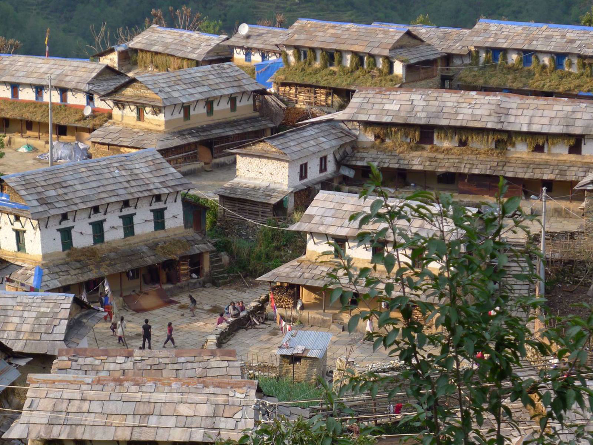 Picture of Trekking, Culture and Wildlife in Nepal