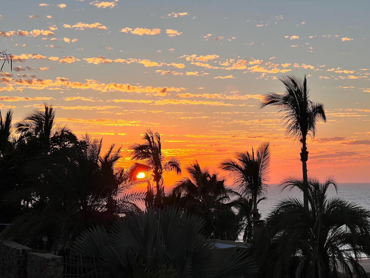 Picture of Baja's Scenic Sierras and Coastal Charms