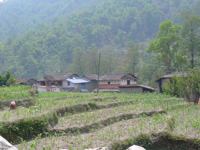 Picture of Trekking, Culture and Wildlife in Nepal