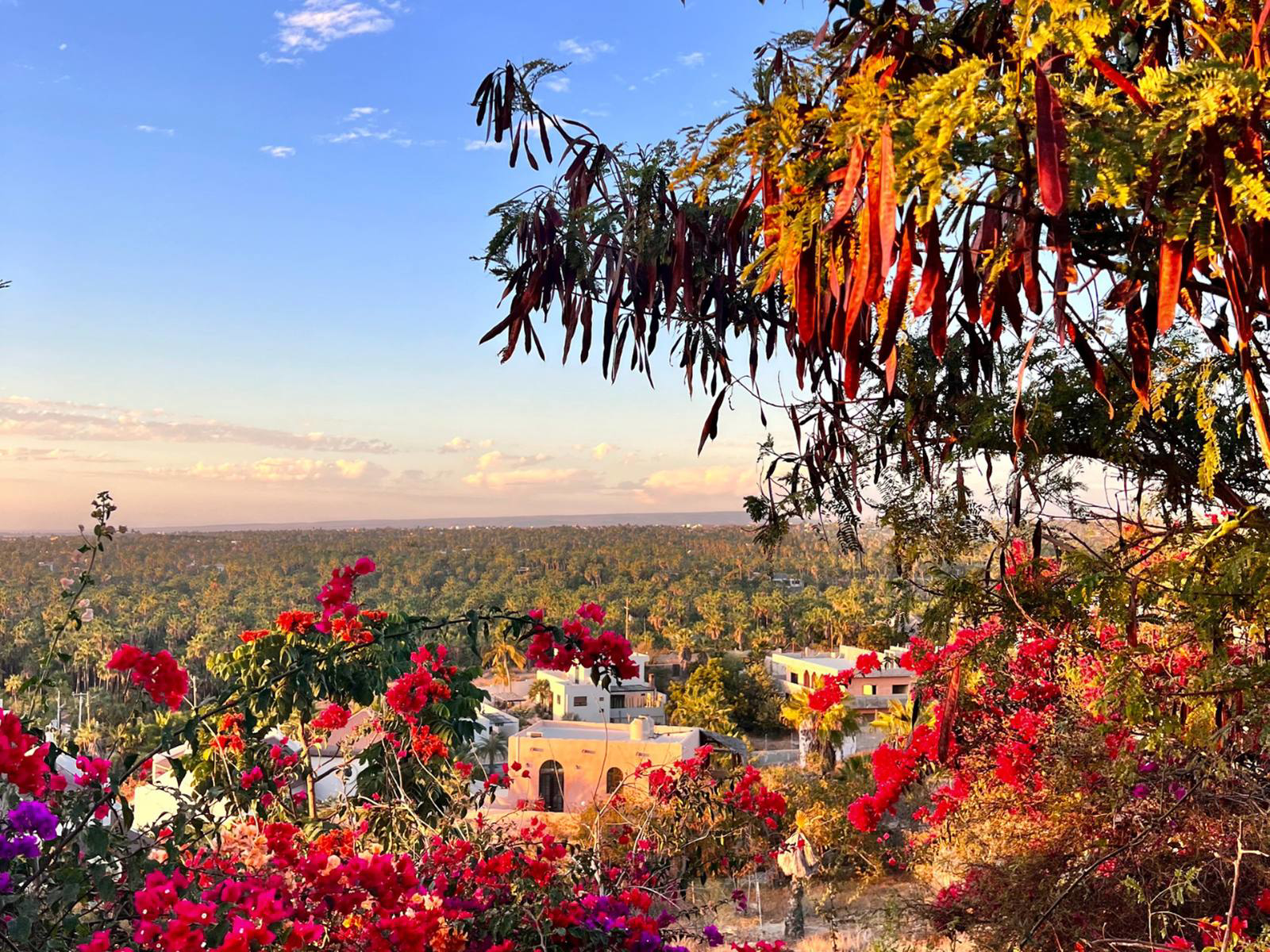 Picture of Baja's Scenic Sierras and Coastal Charms