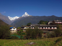 Picture of Trekking, Culture and Wildlife in Nepal
