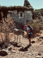 Picture of Pearls of the Croatian Coast