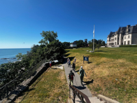 Picture of Naturally Newport