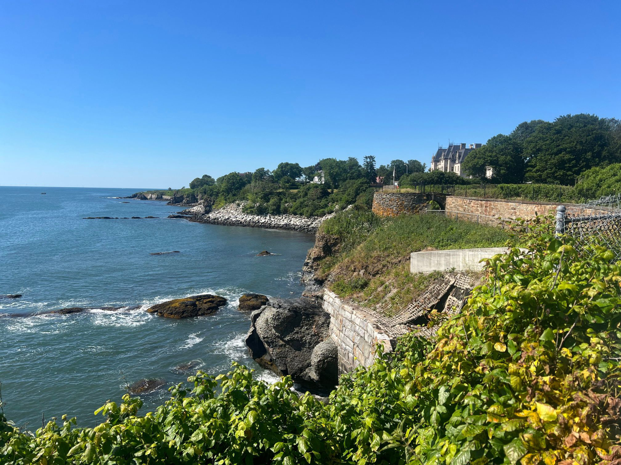 Picture of Naturally Newport