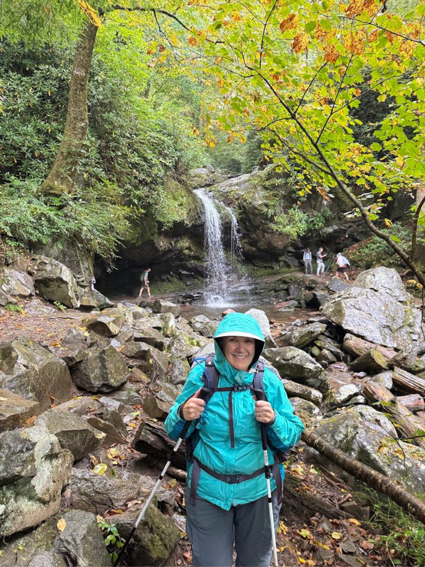 Picture of Fall in the Great Smokies