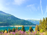 Picture of Tour du Mont Blanc Highlights
