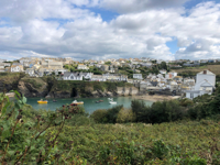 Picture of Cornwall's Coastal Charms: A Boutique Hiking Experience