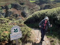 Picture of Cornwall's Coastal Charms: A Boutique Hiking Experience