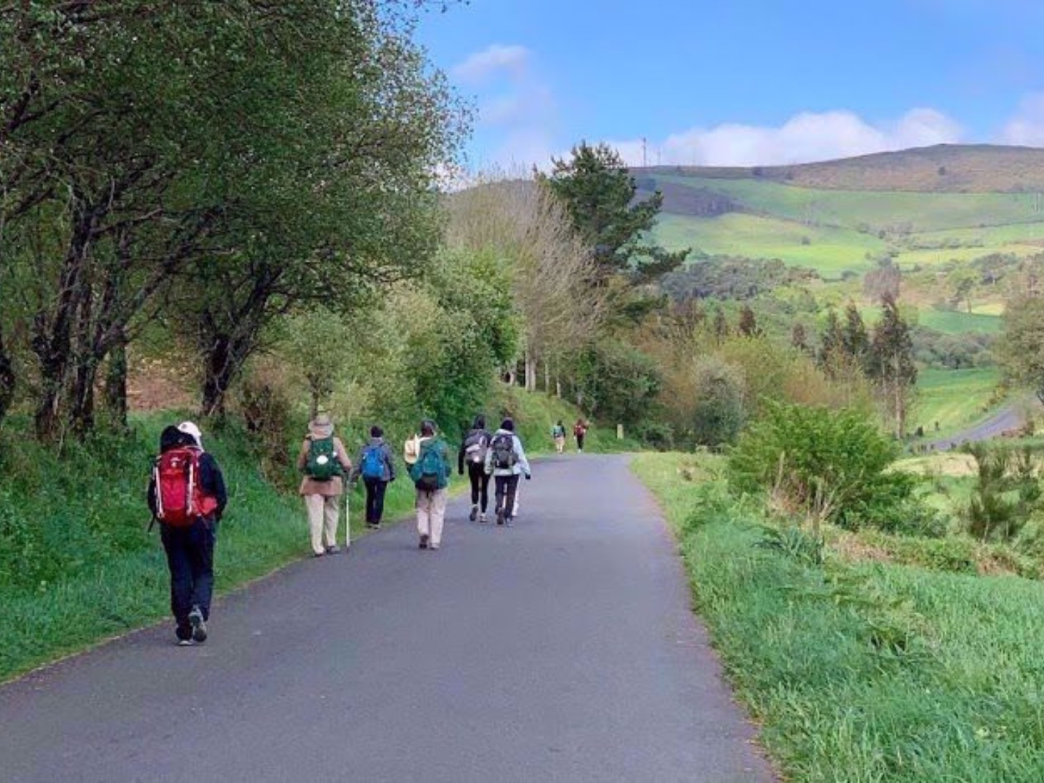 Picture of Santiago to the Sea: Camino Finisterre
