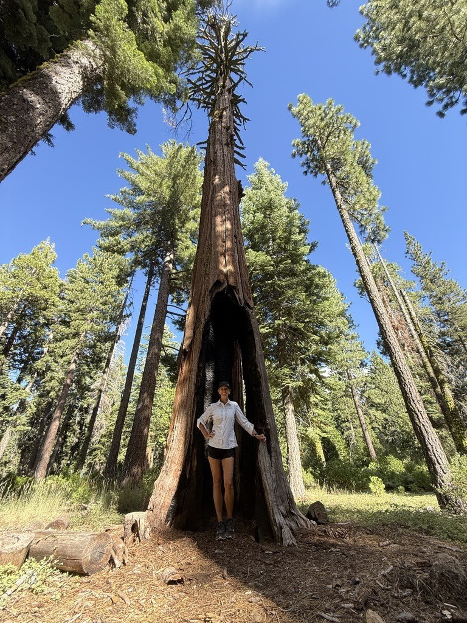 Picture of Lake Tahoe Wellness on the Water