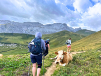 Picture of Switzerland: Hiking on the Via Alpina