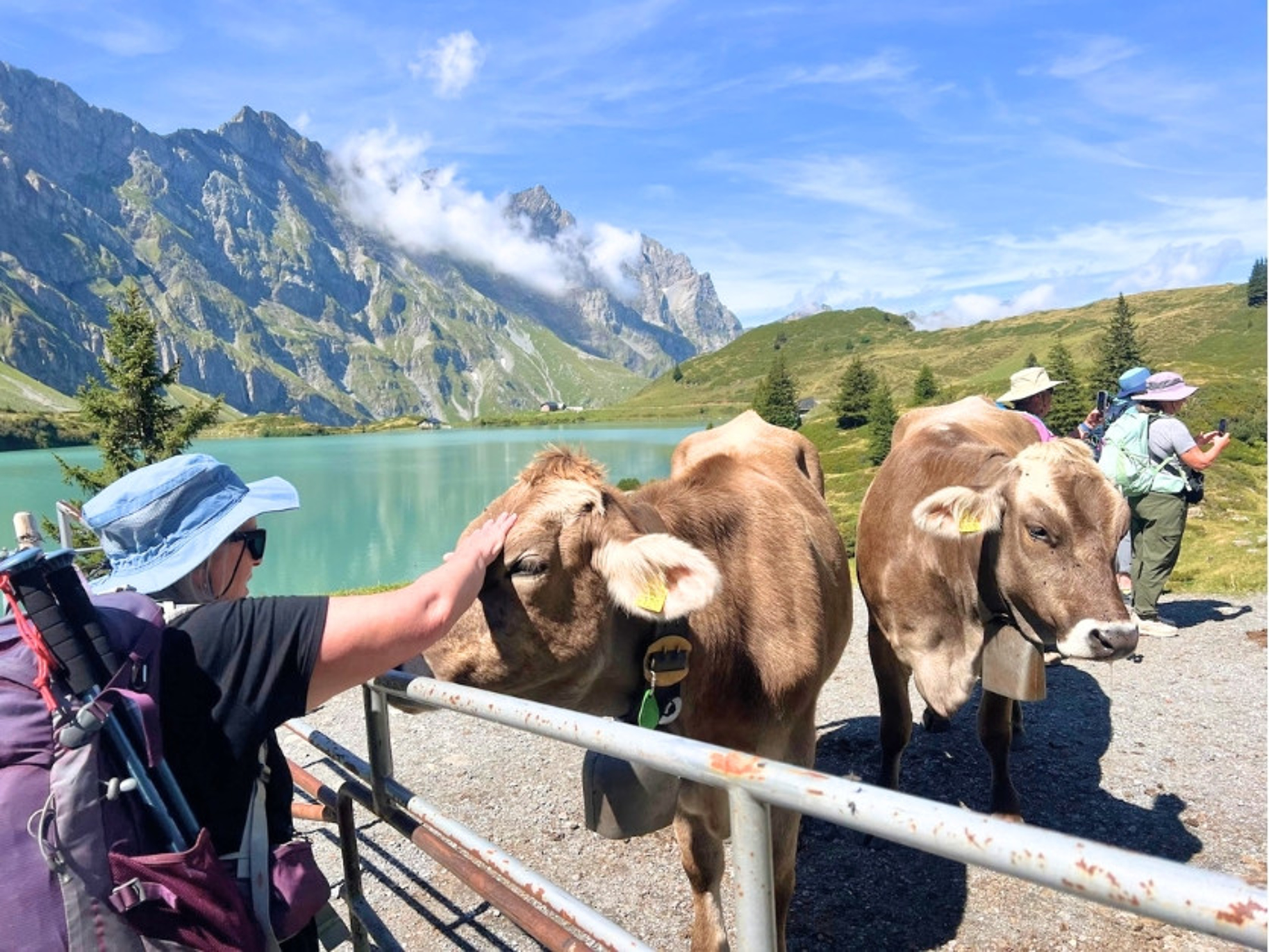 Picture of Switzerland: Hiking on the Via Alpina